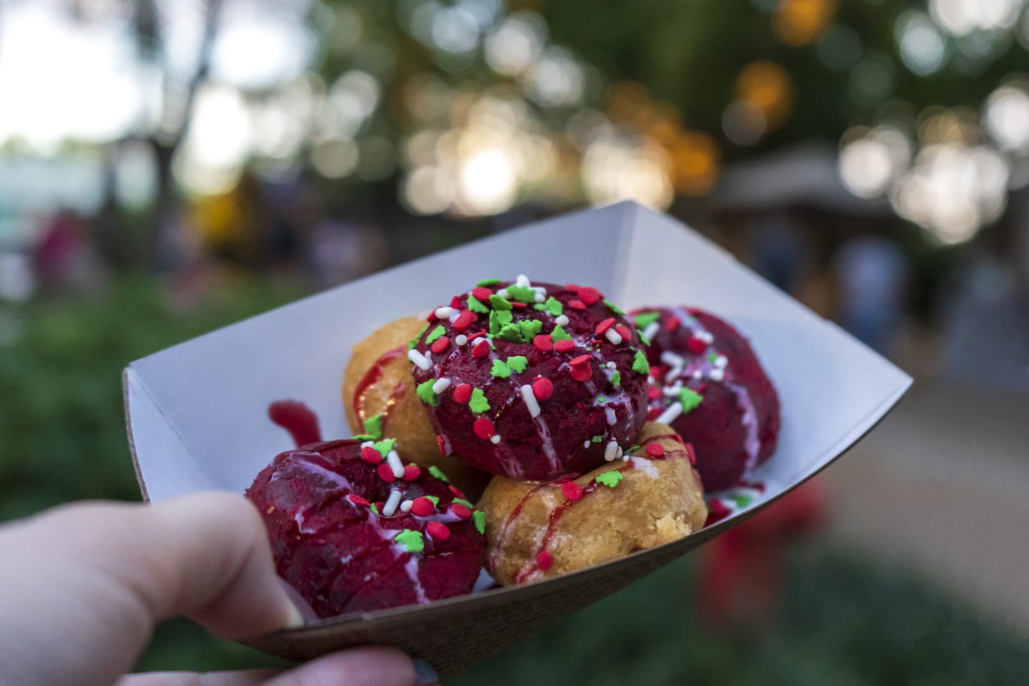 Festive Mini Donuts at Busch Gardens