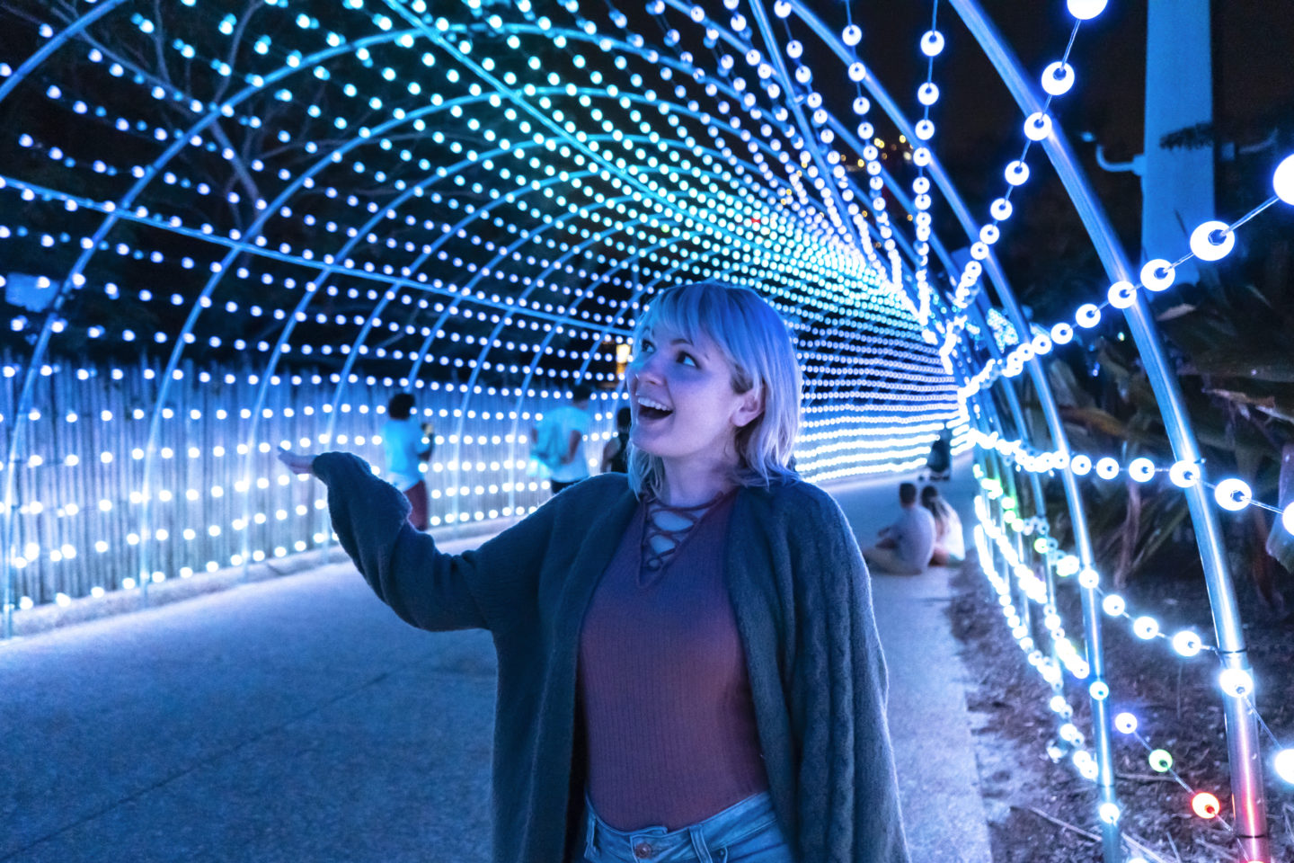 Light Tunnel at Busch Gardens