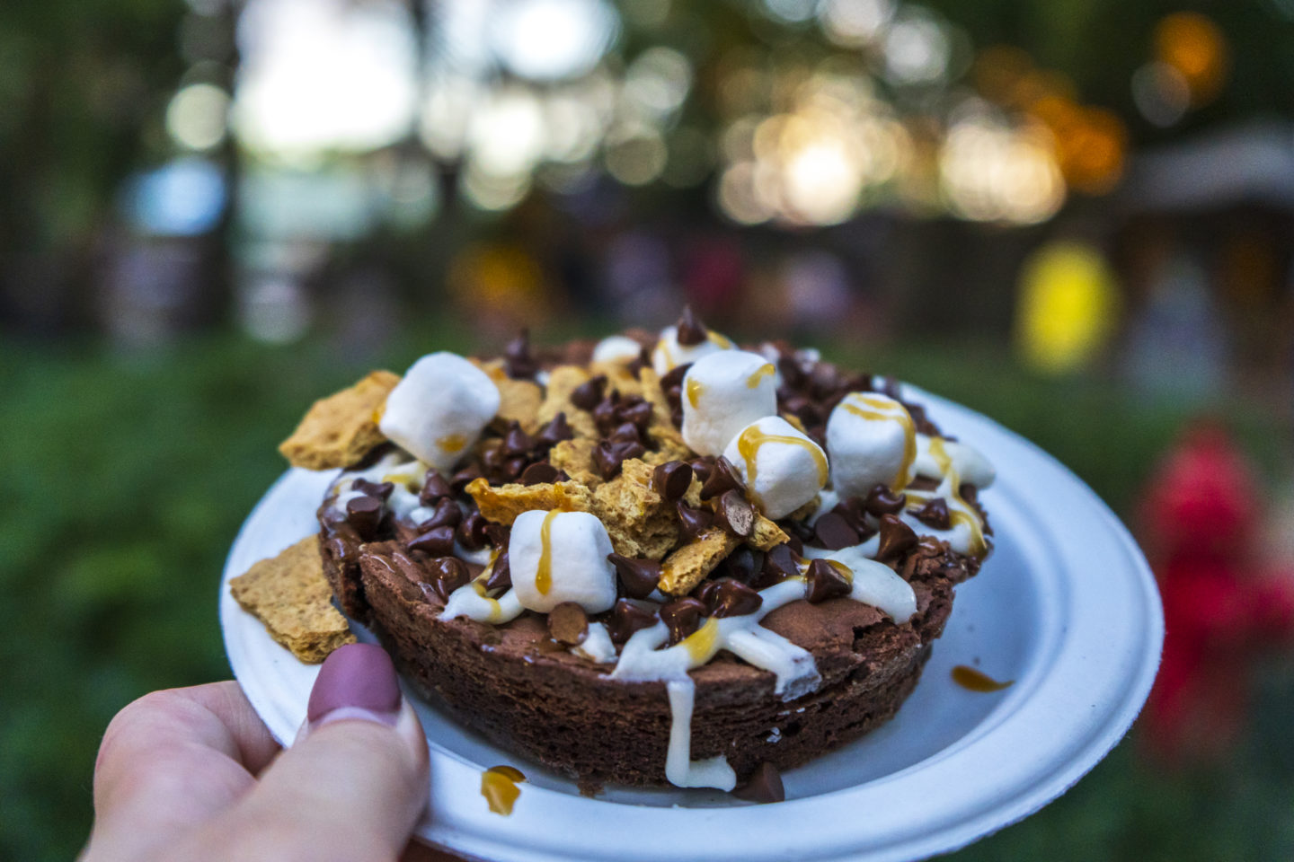 Brownie S’mores at Busch Gardens