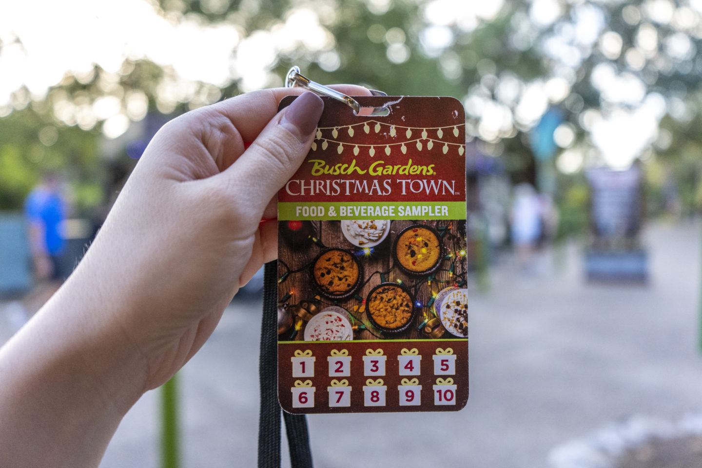 Busch Gardens Christmas 10-item food sampler